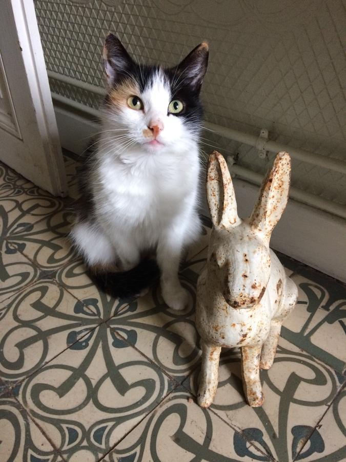 Le Clos Mademoiselle Лош Екстер'єр фото